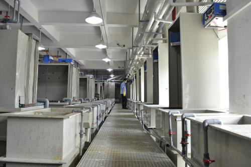 某電鍍企業(yè)電鍍廢水回收鎳項目 某電鍍企業(yè)電鍍廢水回收鎳項目