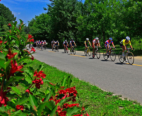 京西北旅游宣傳網(wǎng)站|一網(wǎng)天行-網(wǎng)站建設小程序APP系統(tǒng)軟件開發(fā)公司