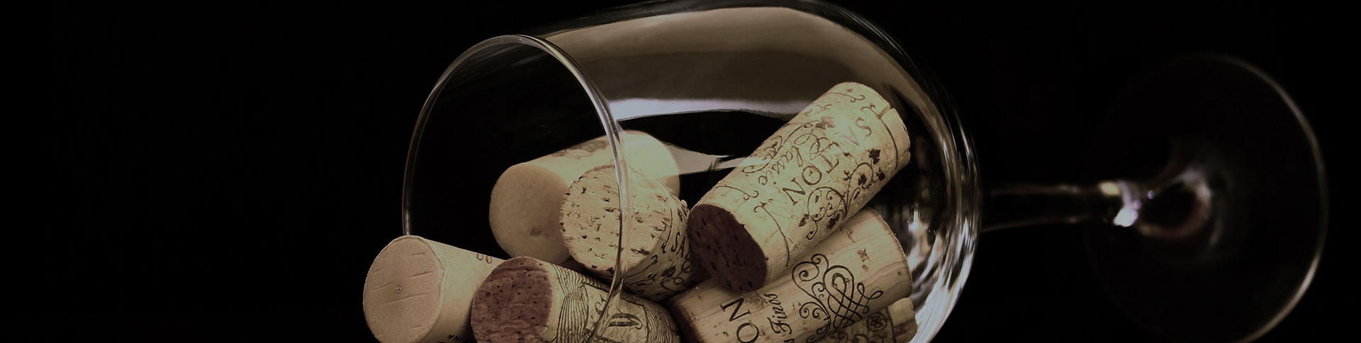 廣博康泰企業(yè)宣傳網(wǎng)站|一網(wǎng)天行-網(wǎng)站建設小程序APP系統(tǒng)軟件開發(fā)公司