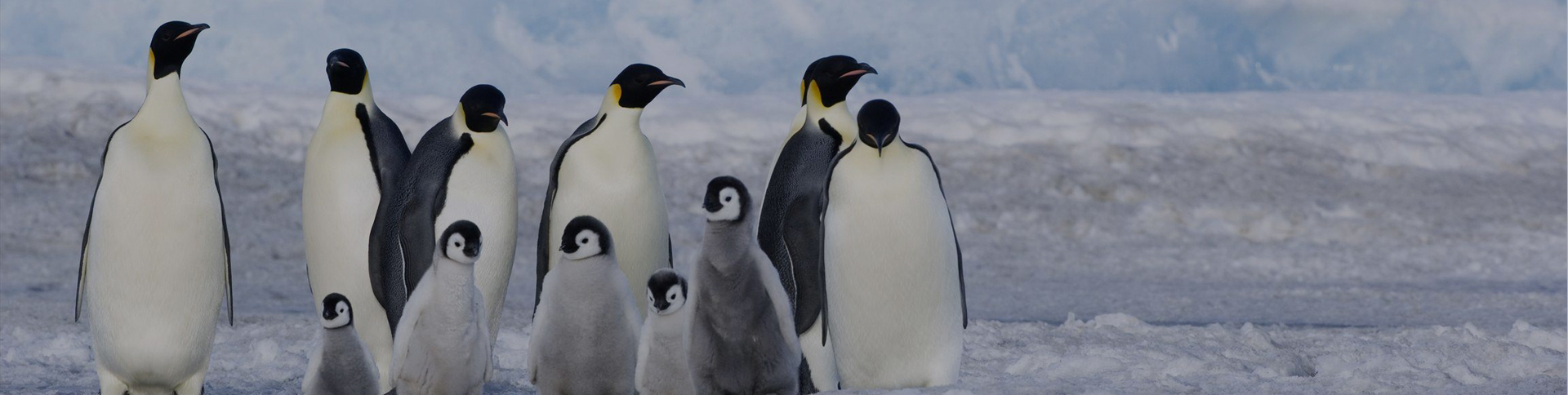 海信日立-微信工單報(bào)修服務(wù)號(hào)平臺(tái)|一網(wǎng)天行-網(wǎng)站建設(shè)小程序APP系統(tǒng)軟件開(kāi)發(fā)公司